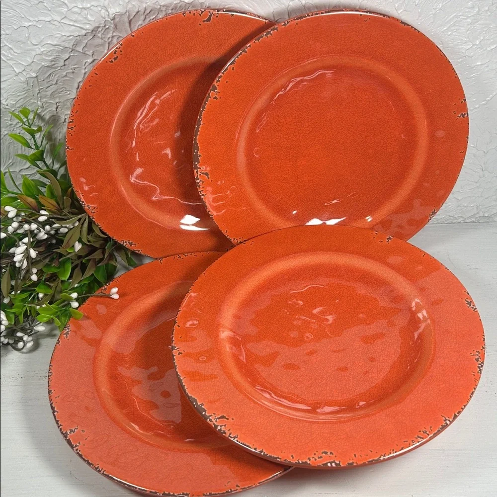 Gianna’s Home Plates Melamine Rustic Orange Plate Set Farmhouse Orange Plates